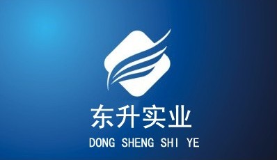 香港东升实业有限公司logo求设计